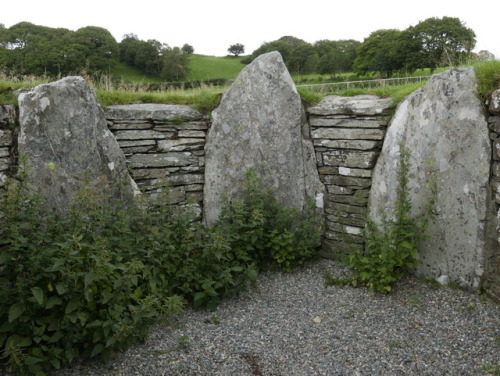 Capel Garmon Burial Chamber, near Betws y Coed, North Wales, 25.8.17. An extensive passage grave tha