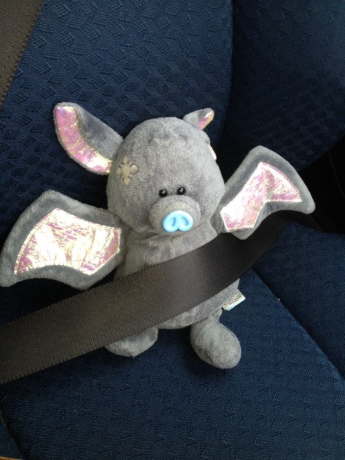 wammylamby:  Taking Batty Joe for a ride.