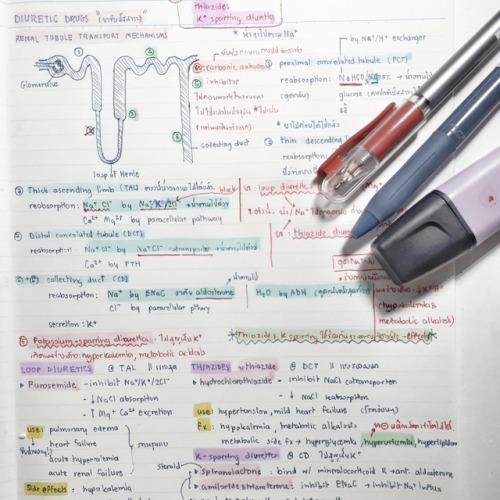 coffeeandpies: 290619 // old stuff:: notes from when i was in my former major. freakin’ nostal