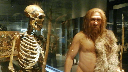 Early humans neanderthals