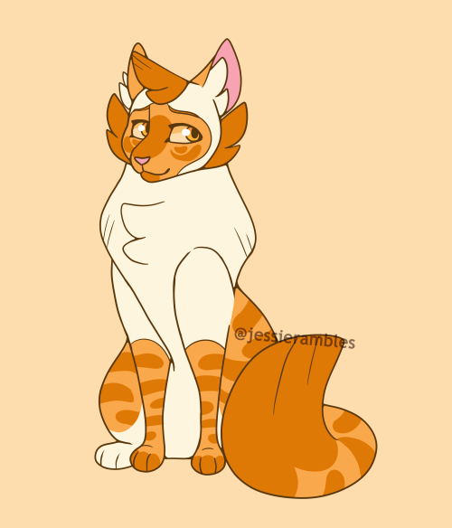 MOTHWING― RiverClan current medicine cat “I’ll always be here if you need me. I may not 