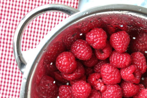 beautifulpicturesofhealthyfood:  Raspberry Chia Seed Jam…RECIPEIngredients1 cup raspberries1 tbsp chia seeds   2 tbsp water2 tbsp honey 