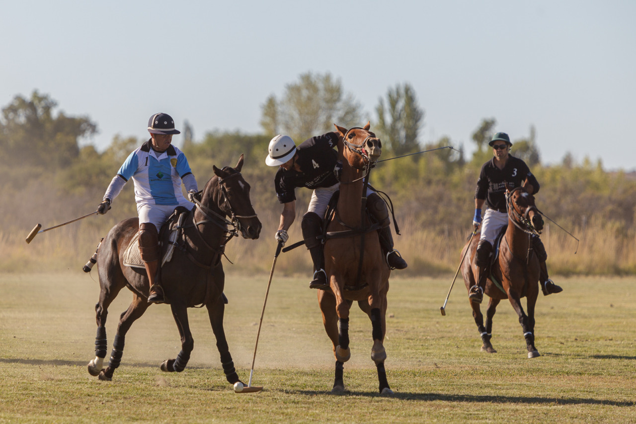 Torneo Trelew Polo Club 2020
https://www.victidona.com.ar/