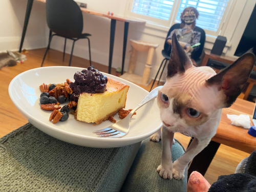 A Slice Of Gluten-free Cheesecake! Yum Yum