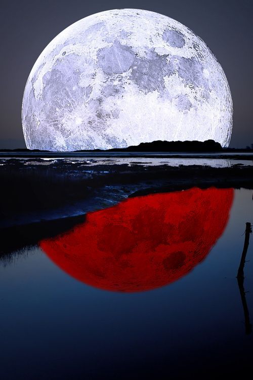 expression-venusia:  beautymothernature: Expression 