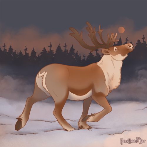  “Reindeer dreaming" ~ Winter solstice artwork funded by my pαтяσи’s last year. Finally a