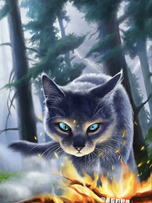 Warrior Cats - Firestar- The Prophecy Artist