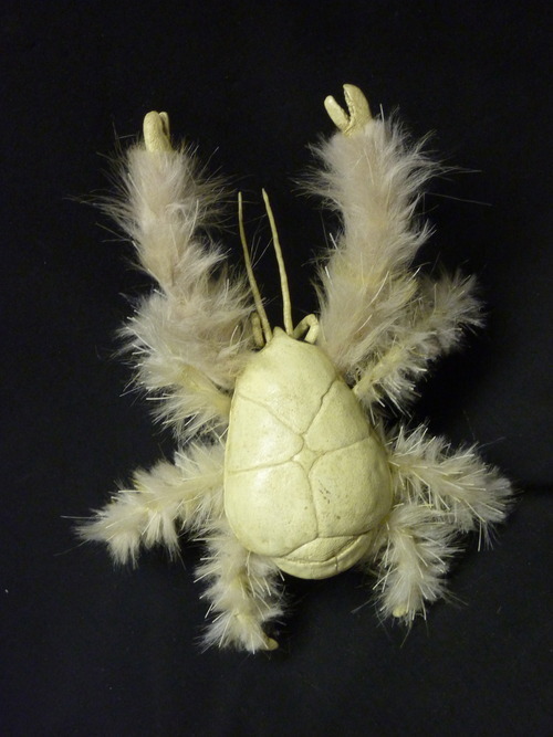 homohustle:  jotarokujo:  what if the new animal species we discover each year are
