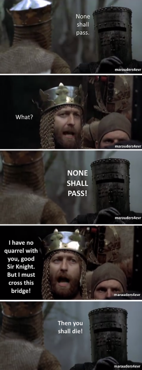 juicyj-caint:  rustlingpages:marauders4evr:It’s just a flesh wound.The single greatest scene in cinematic history.If you try to tell me you didn’t read those lines in those voices then you’re a LIAR  My favorite scene of any movie ever