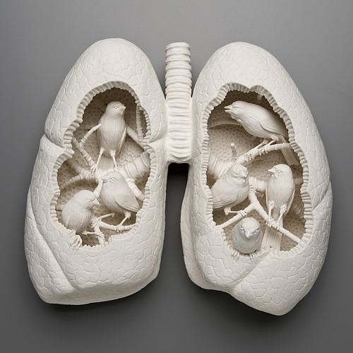 moshita:  Kate Macdowell 