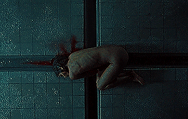 c81fbe31463ba8600a213914964a0e189f33d306.gif