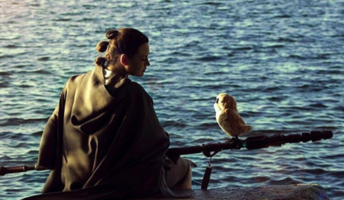sleemo: Rey with a porg on Ahch-To
