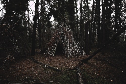 skylerbrownart: went for a walk in the woods; narrowly avoided getting eaten by a witch (by Sky