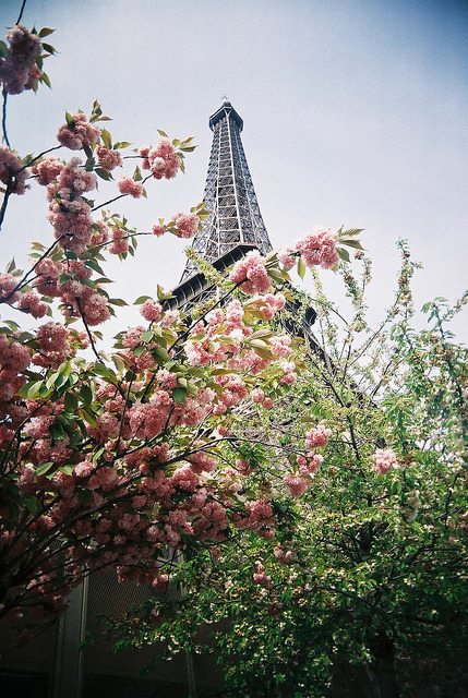 eliego:  untitled by gg.ranee on Flickr.