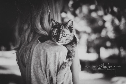 More photos from the photosession - www.katrin-elizabeth.com/en/happy-cat Copyright © www.