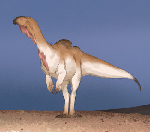4: Massospondylus! Isn't A Fat Storage Here But A Bit Of Speculative Skin For Display Cuz Why Not Also