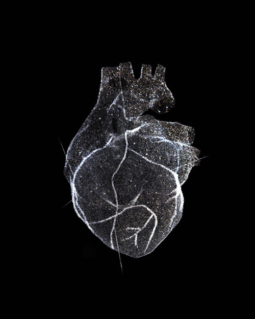 nouralogical:Reiner Riedler: Glass model of a heart, 2012