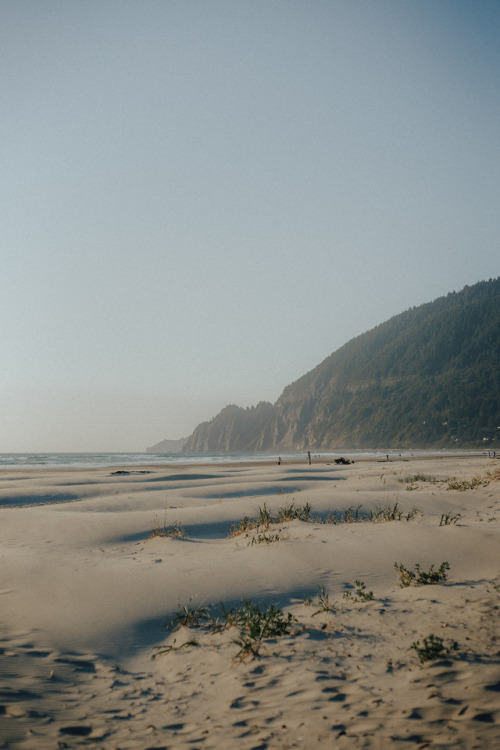 withoutroots:manzanita, oregon | september