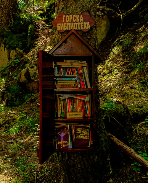 Forest library near a waterfall in Bulgaria