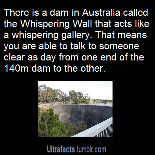 atouchofmidnight:  ultrafacts:  Source More Facts  I’ve done something similar.