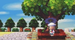 crossingcreep:  Nice and sunny in Julantis // newleafjulia 4300-2841-5340