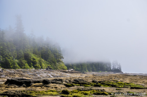 7.7.2014 - day 5 on the West Coast Trail - the fog moving in..#BC #Canada #VancouverIsland #WestCoas