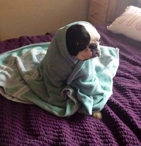 tuhree:  when you gotta get up for school and you sit on the bed for 20min like this