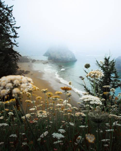 delta-breezes:Michael Block | @mblockk