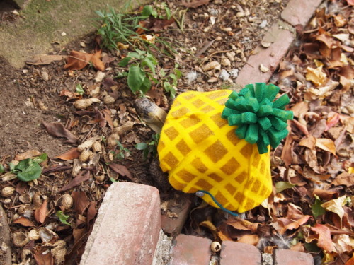 tort-time:  This year, in honor of the upcoming @psych_usa movie, Zoya decided to dress up as a Pine