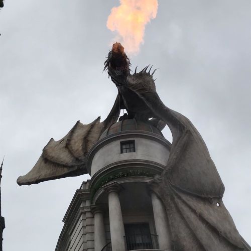 Visiting Diagon Alley when I should be writing. #harrypotter #universalstudios #dragon (at Wizards&r