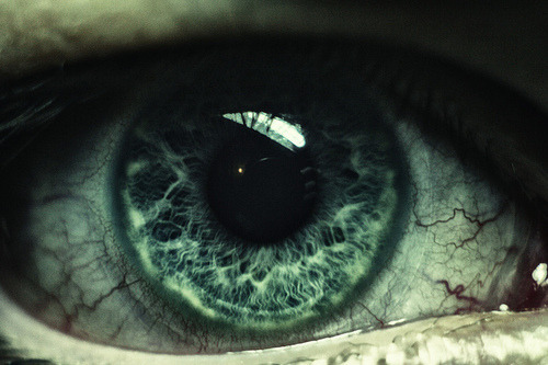 brutalgeneration:  photographs and memories on We Heart It - http://weheartit.com/entry/36500548/ 