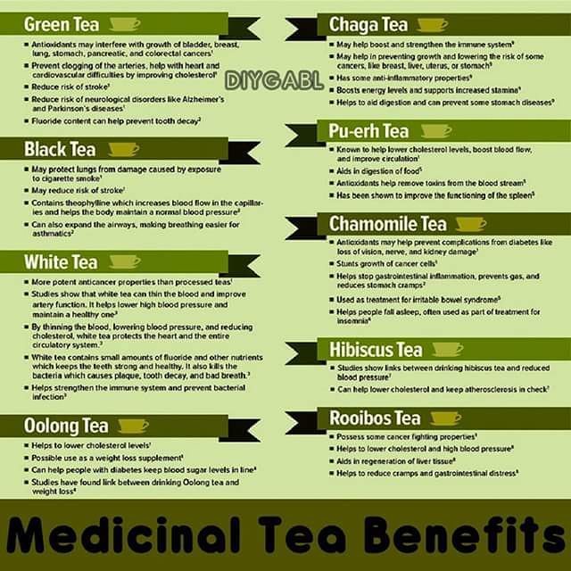 MEDICINAL TEA BENEFITS Tea has been valued as... - DIY Gardening ...