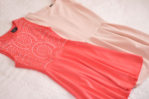 The Silky Rose