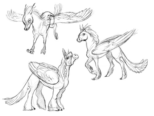 winged horses 🐴🐦 #pegasus#horse#foal#animal#sketch#ideasketch#creature#fantasy animal#creature design#character#Character Design#character art#drawing#art#hawdy#original