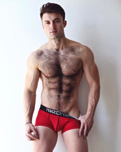 Hot Hairy Muscular Men