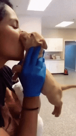 thehumorbot:  The Happiest Puppy Ever. via /r/Eyebleach https://ift.tt/3D1HqPv