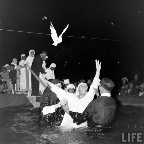 Elder Michaux holds a mass baptism in Griffith Stadium(Thomas McAvoy. 1941)