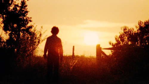 cinemaspam:The Texas Chainsaw Massacre (1974)  Directed by Tobe Hooper 