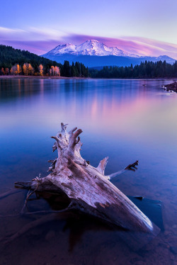 julietao:  Solitude | Mt Shasta, California by Vicki Mar  