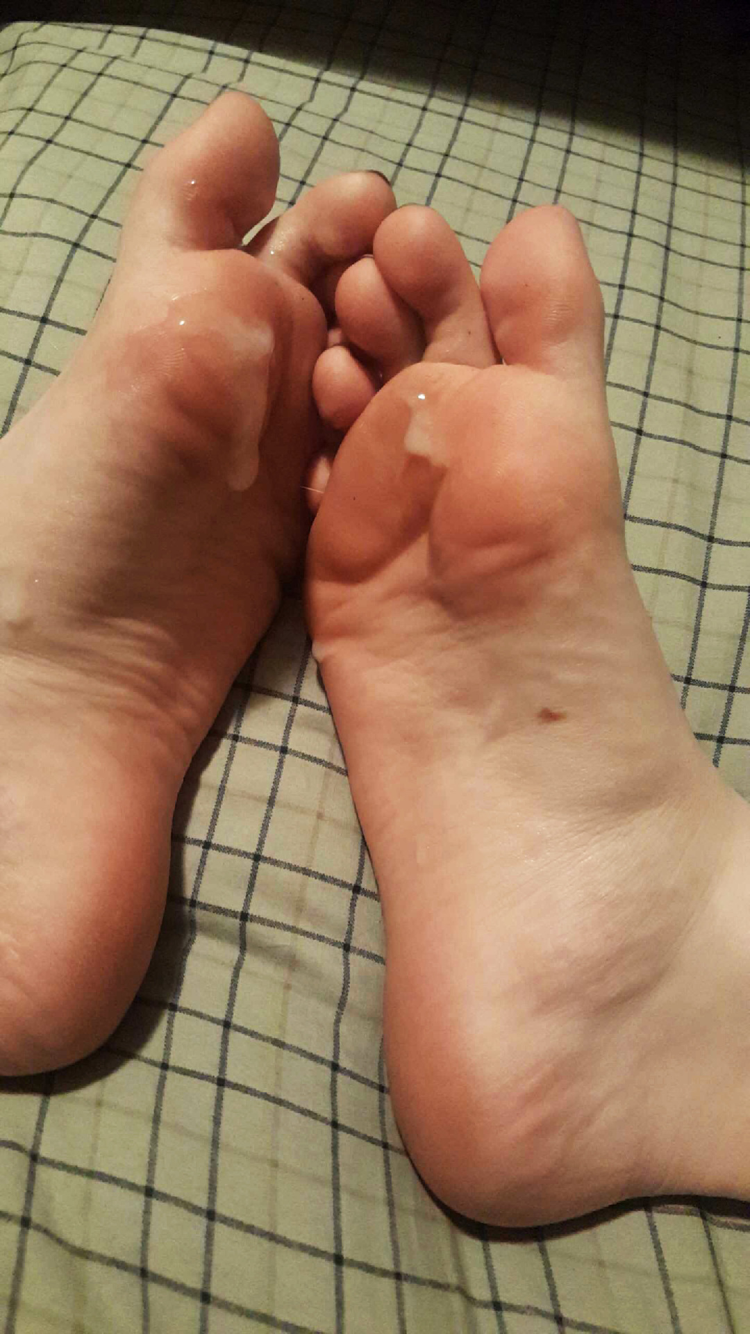 dawnoftheped:  Welp, had to snap these with my phone because I couldn’t exactly