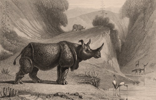 L'Inde pittoresque - Hobart Caunter - 1840 - via Internet Archive