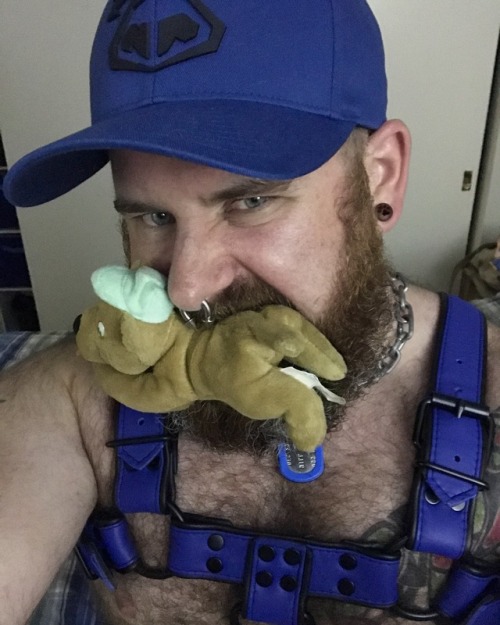 Sex Pup has a beer soaked toy he caught at the pictures