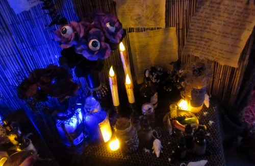 Some pics inside the swamp witch shack/front door area, where I sat to hand out the candy :)