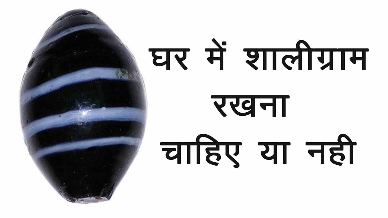 घर में शालिग्राम रखना चाहिए या नहीं, क्या स्त्री शालिग्राम की पूजा कर सकती है, असली शालिग्राम की पहचान, शालिग्राम किस नदी में मिलते हैं, शालिग्राम कहां रखना चाहिए, क्या तुलसी के पौधे में शालिग्राम रख सकते हैं, घर में कौन सा शालिग्राम रखना चाहिए?, तुलसी शालिग्राम का विवाह क्यों होता है,