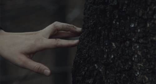 throughaglassdarkly1961: Amama (2015), dir. Asier Altuna