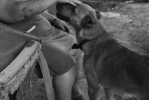 Amores Leales. 