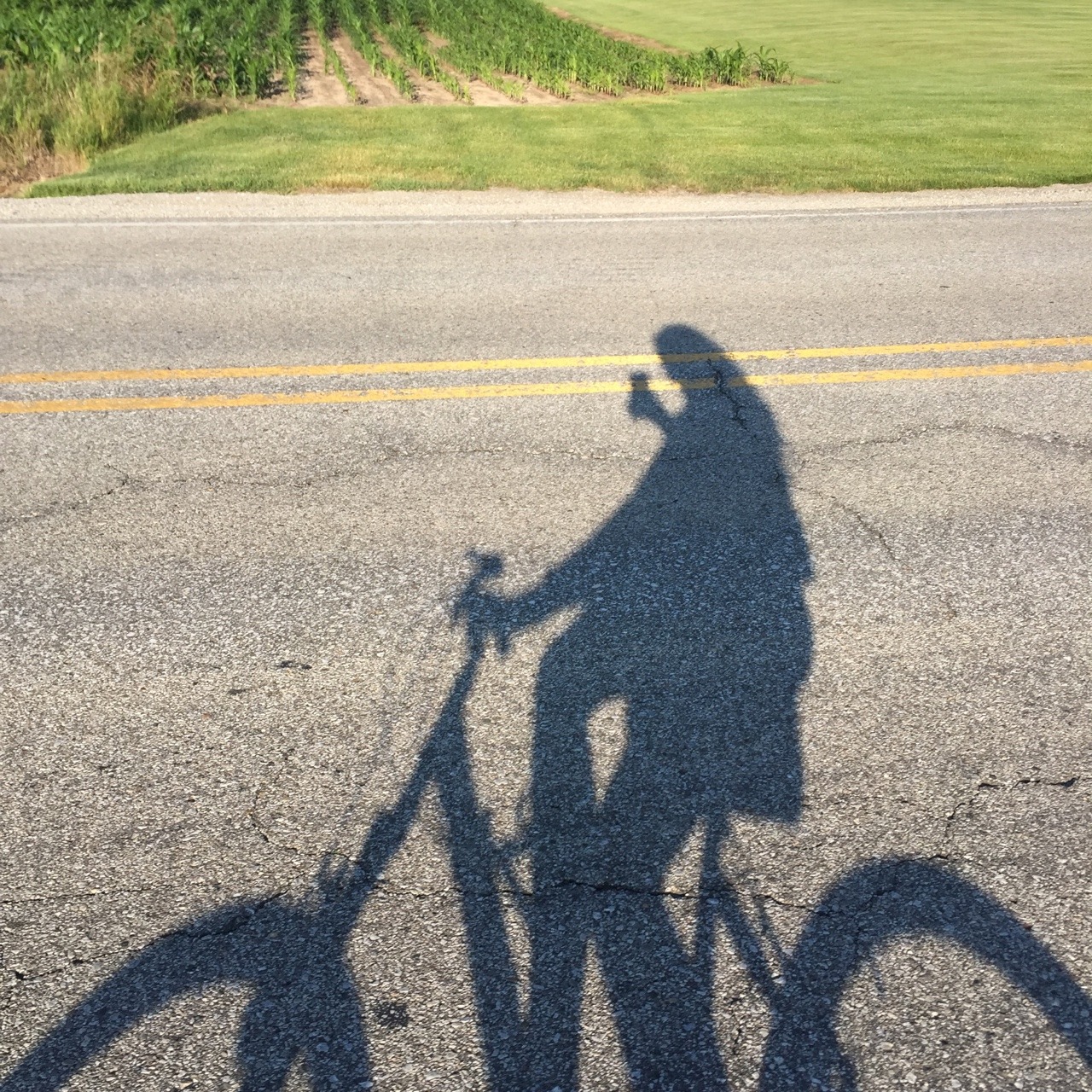gothyolk:  I rode around today and looked for flowers to draw.