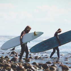 terasulife:  The creatures of the sea and sky are a part of the experience. From seals to fulmars to otters, we learn something new each time we step into their realm. -Dan Crockett from ‘Peripheries’ | Photo: Alex Swanson #terasulife #saltkissed