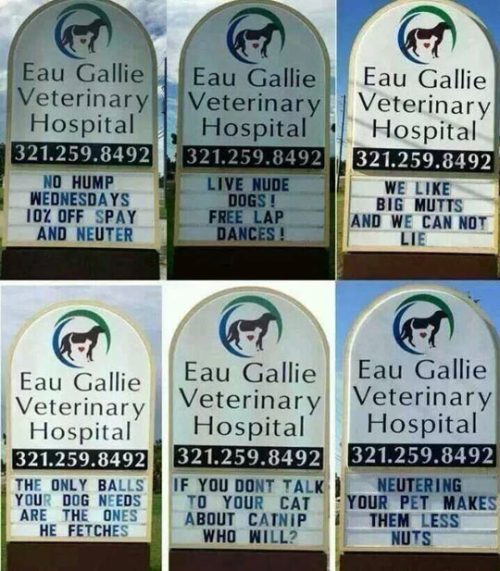 thefrogman:  Eau Gallie Vet [website] 