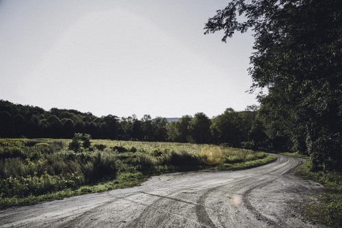 without-roots: new england back roads blog | instagram | vsco